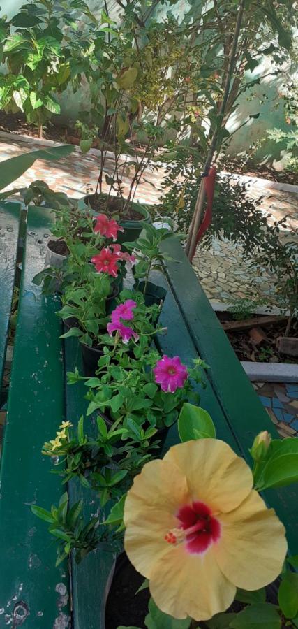 Pousada 4 Cantos Corumba Ngoại thất bức ảnh